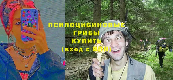 гашик Абдулино